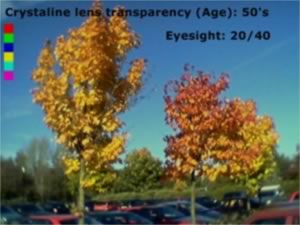 colour photo simulating age effects at 50