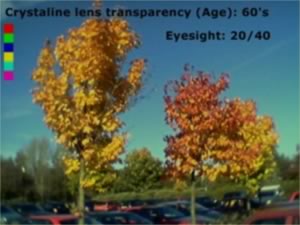 colour photo simulating age effects at 60